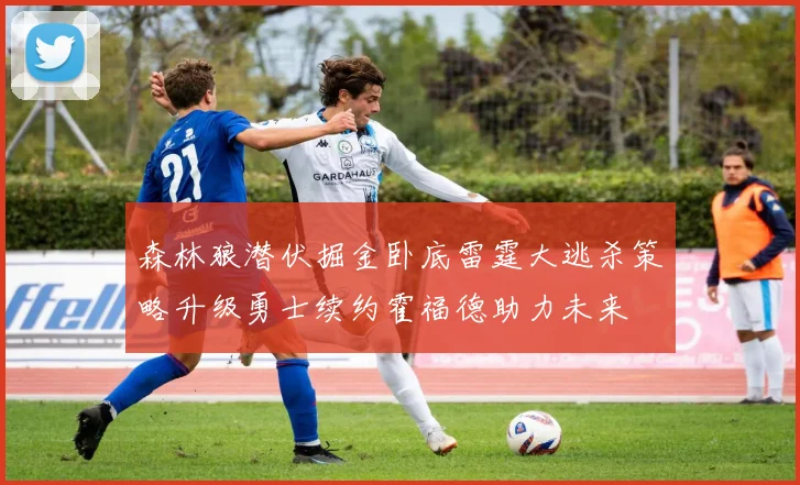 森林狼潜伏掘金卧底雷霆大逃杀策略升级勇士续约霍福德助力未来
