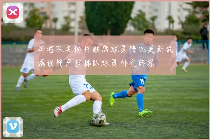 海港队足协杯缺席球员情况更新武磊伤情严重梯队球员补充阵容