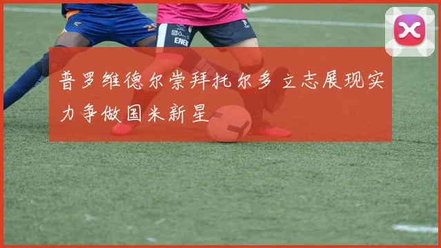 普罗维德尔崇拜托尔多立志展现实力争做国米新星