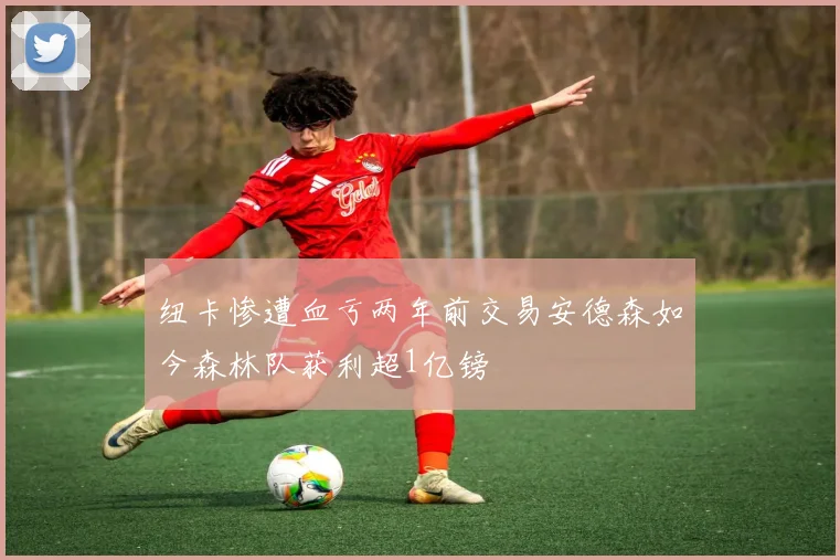 纽卡惨遭血亏两年前交易安德森如今森林队获利超1亿镑