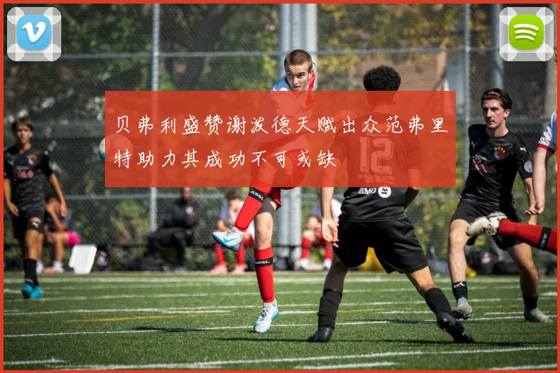 贝弗利盛赞谢泼德天赋出众范弗里特助力其成功不可或缺