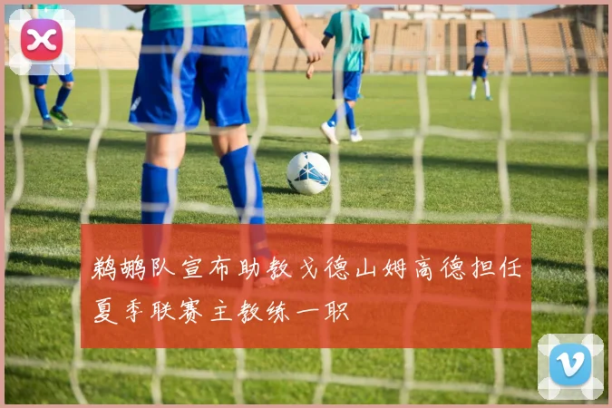 鹈鹕队宣布助教戈德山姆高德担任夏季联赛主教练一职